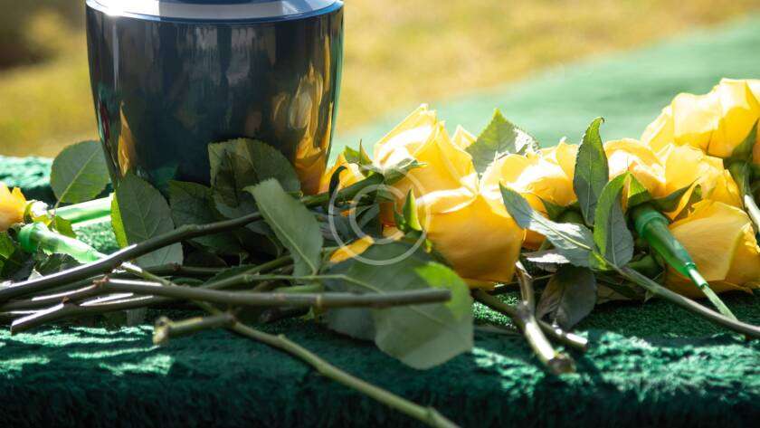 Post13 copyright 840x473