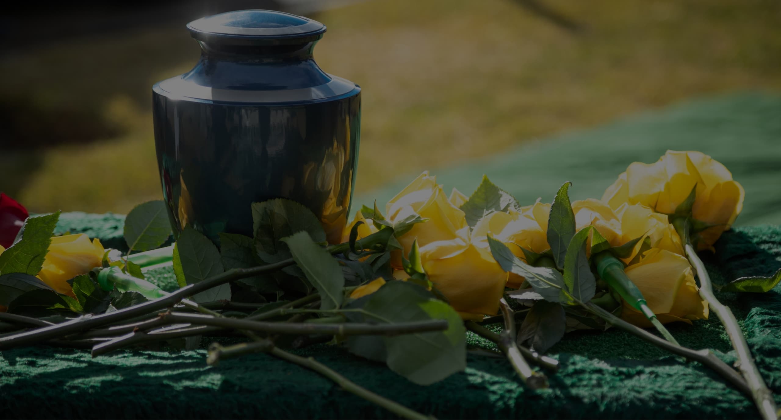 Incineracion Individual